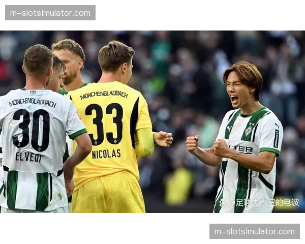 海登海姆净胜球负31个，保级附加赛成现实目标